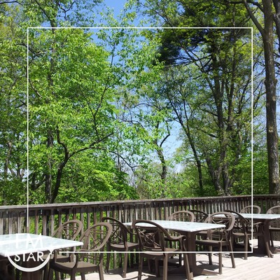 Bossa and forest cafe Cafe BGM for a comfortable space Front Cover