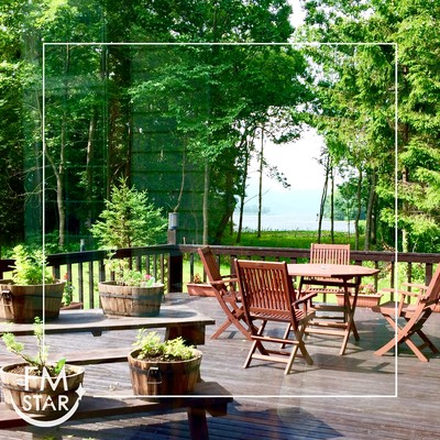 Forest cafe BGM Relaxing work with gentle tones CAFE JAZZ Work BGM Front Cover