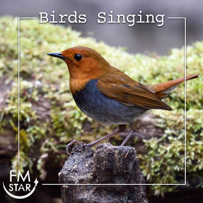 Birds Singing Front Cover