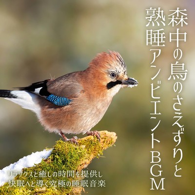 Bird chirping in the forest and deep sleep ambient BGM The ultimate sleep music that provides relaxation and healing time and leads to a good night's sleep. Front Cover