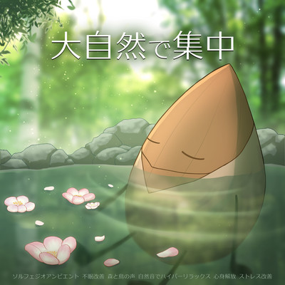 Concentrate in nature Solfeggio Ambient Improve insomnia Forest and bird voices Hyper relax with natural sounds Release mind and body Improve stress Front Cover