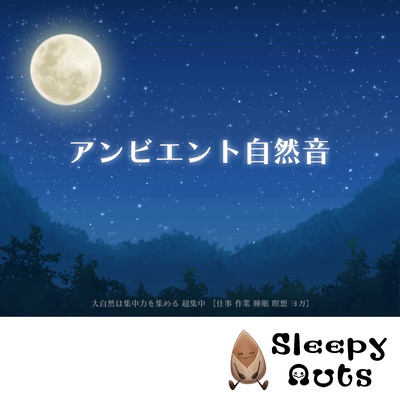アンビエント自然音 大自然は集中力を集める 超集中 【仕事 作業 睡眠 瞑想 ヨガ】のジャケット写真