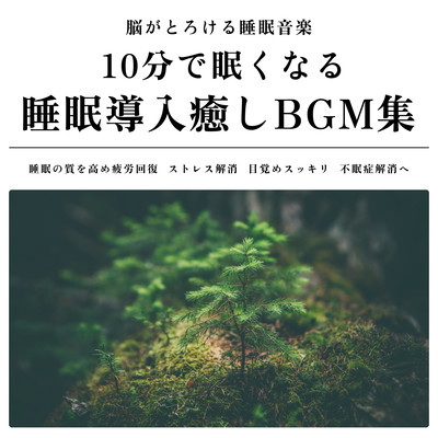 Sleep music that melts your brain. A collection of healing BGM that will make you sleepy in 10 minutes. Improve the quality of your sleep, recover from fatigue, relieve stress, wake up refreshed, and relieve insomnia. Front Cover