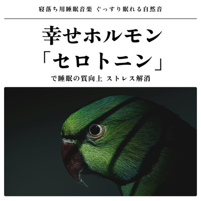 寝落ち用睡眠音楽 ぐっすり眠れる自然音 幸せホルモン「セロトニン」で睡眠の質向上、ストレス解消のジャケット写真