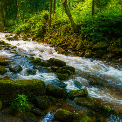ヒーリング音楽で癒しのひと時 いつの間にか寝落ちしちゃうぐっすりBGM (効果音)のジャケット写真