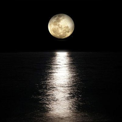 Gentle, quiet healing music to calm your mind when you can't sleep alone at night. (SE) Front Cover