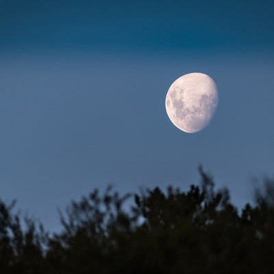 Meditation Beejm to Heal You 10 healing music you should listen to at least once if you can't sleep. (SE) Front Cover