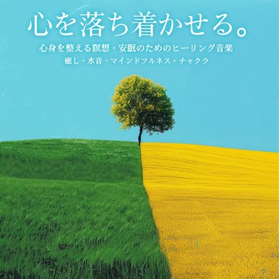 心を落ち着かせる。 心身を整える瞑想・安眠のためのヒーリング音楽 癒し・水音・マインドフルネス・チャクラのジャケット写真