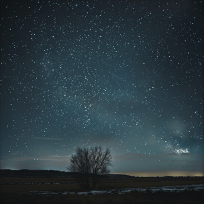 Healing tones that lull you to sleep Healing melodies for a deep sleep that melts your brain Music that is gentle on transgastritis, irritable bowel syndrome, nausea Front Cover