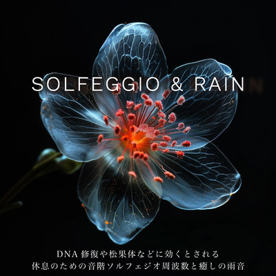 Solfeggio frequencies and healing rain sounds for rest, which are believed to be beneficial for DNA repair, pineal gland, etc. ~SOLFEGGIO & RAIN Front Cover