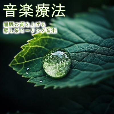 Music Therapy ~ Healing Healing Music for Better Sleep Quality Front Cover