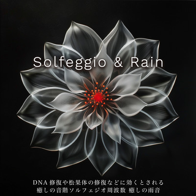 Healing Solfeggio Frequencies Said to Aid DNA Repair and Pineal Gland Healing, with Soothing Rain Sounds ~Solfeggio & Rain Front Cover