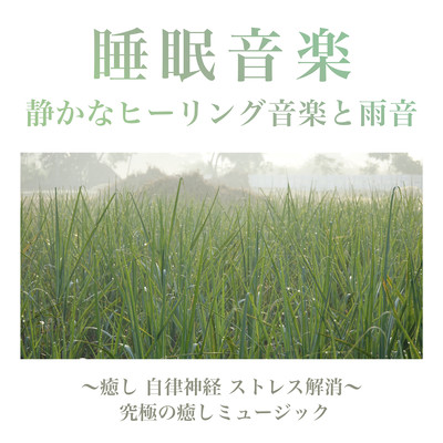 Sleep Music Quiet Healing Music and Rain Sound - Healing Autonomic Stress Relief - Ultimate Healing Music Front Cover