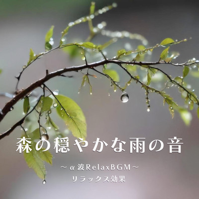 The sound of gentle rain in the forest ~alpha wave RelaxBGM~ relaxing effect Front Cover