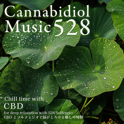 Cannabidiol Music 528 Chill time with CBD for deep relaxation with 528 Solfeggio CBD and Solfeggio for brain melting healing Front Cover
