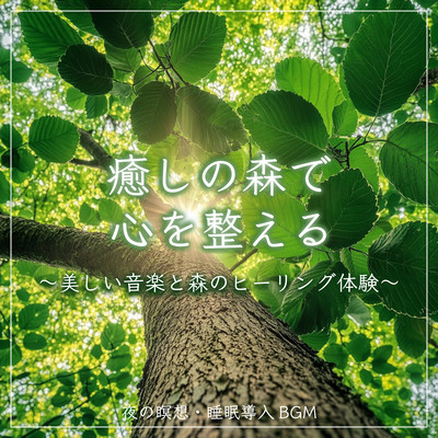 Prepare your mind in a healing forest - beautiful music and forest healing experience - evening meditation and sleep inducing background music Front Cover