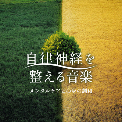 Music to Balance the Autonomic Nervous System - Mental Care and Mind-Body Harmony Front Cover