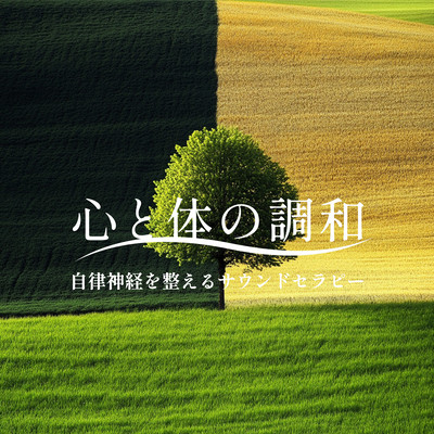 Harmony of Mind and Body - Sound Therapy to Balance the Autonomic Nervous System Front Cover