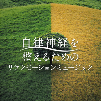 Relaxation Music to Balance the Autonomic Nervous System Front Cover