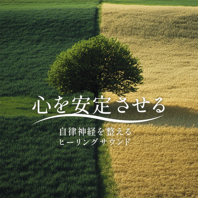 心を安定させる ~ 自律神経を整えるヒーリングサウンドのジャケット写真