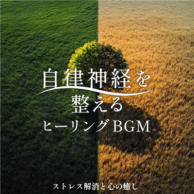 Healing BGM to Balance the Autonomic Nervous System - Stress Relief and Mental Healing Front Cover
