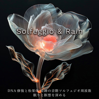 DNA Repair and the Pineal Gland Miracle Scale Solfeggio Frequencies Deepen Sleep and Meditation ~Solfeggio & Rain Front Cover