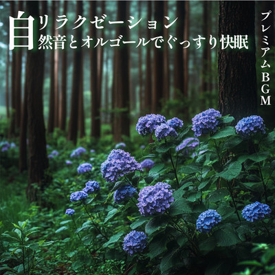 ~Relaxation~ Get a good night's sleep with natural sounds and music boxes ~ Premium BGM Front Cover