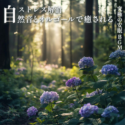 ~ Stress relief ~ Relax with natural sounds and music boxes ~ The ultimate sound sleep BGM Front Cover