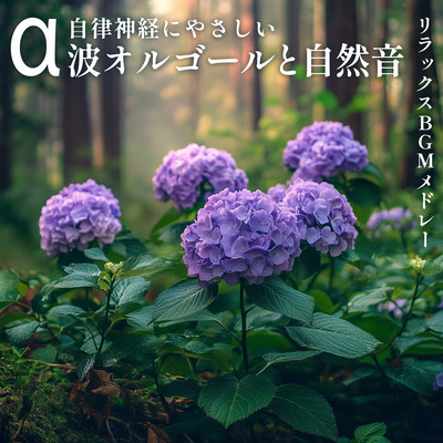 ~Gentle on the autonomic nervous system~ Alpha wave music box and natural sounds ~ Relaxing BGM medley Front Cover