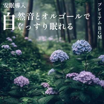 ~ Sleep Induction ~ Sleep soundly with natural sounds and music boxes ~ Premium BGM Front Cover