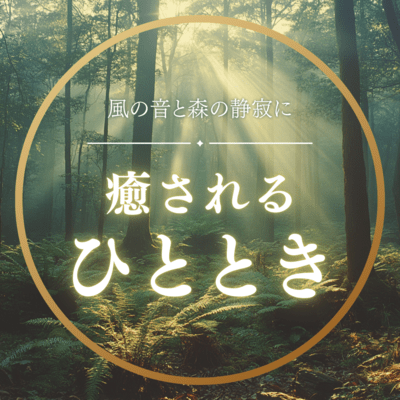 A soothing moment with the sound of the wind and the silence of the forest Front Cover