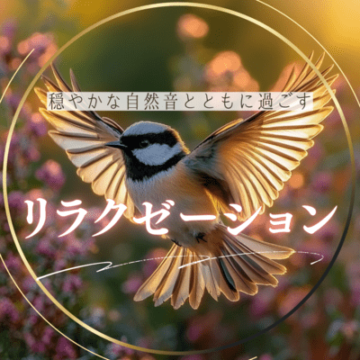 Relaxation with the gentle sounds of nature Front Cover