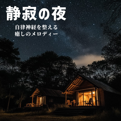 Silent Night - soothing melodies for the autonomic nervous system Front Cover