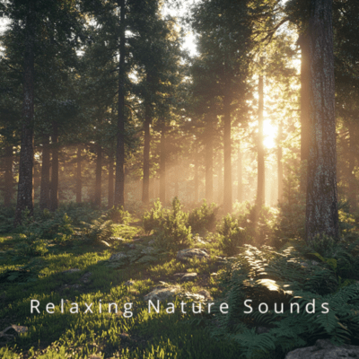 Essential Ocean Waves Relaxing Nature Sleep Sounds Front Cover