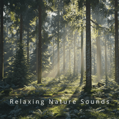 Essential Forest Whisper Nature's Sleep Companionのジャケット写真