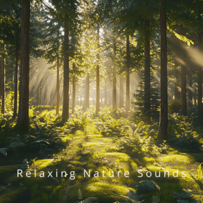 Ocean Dreams Relaxing Waves for Restful Nightsのジャケット写真