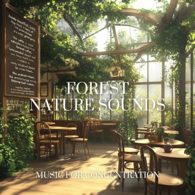 Forest Sounds for Study and Focus Front Cover