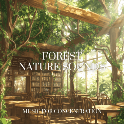 Concentration Sounds from Nature's Forest Front Cover