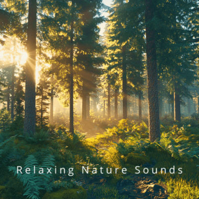 Relaxing Nature Sounds Sleep Therapy Front Cover