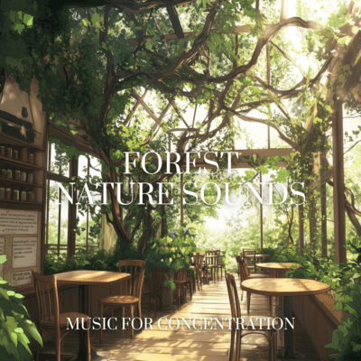 Peaceful Forest Ambience for Productivity Front Cover