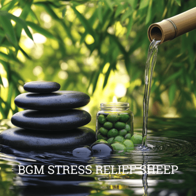 Calm Sheep: Music for Restful Sleep Front Cover