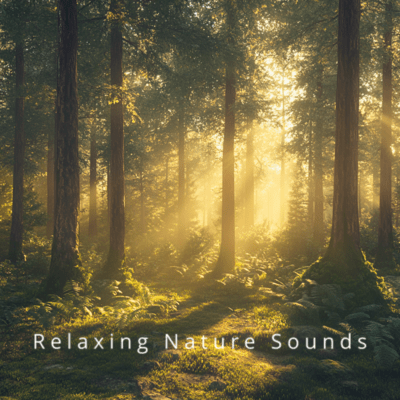Rainforest Calm: Deep Sleep Tones Front Cover