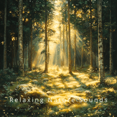 Night in the Woods: Nature for Relaxationのジャケット写真