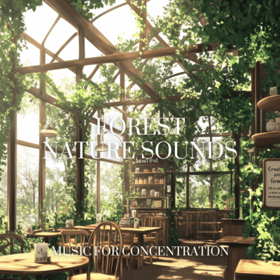 Study in the Woods: Relaxing Music Front Cover