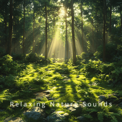 Serenity Streams: Sleep & Nature Harmony Front Cover