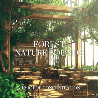 Refreshing Forest Beats for Work Front Cover