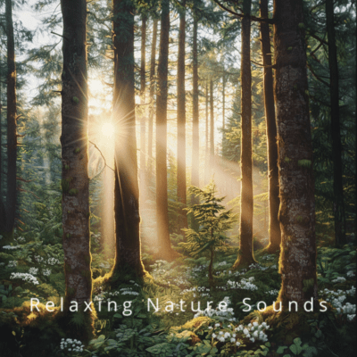 Calm Nature: Sounds of the Wild for Restのジャケット写真
