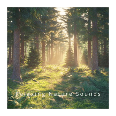 Gentle Rainfall: Soothing Nature Sleep Music Front Cover