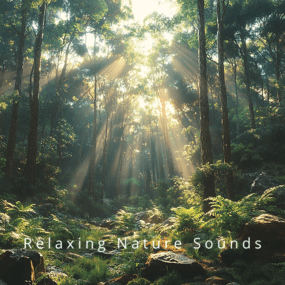 Peaceful Forest Nights: Relaxing Nature Music Front Cover
