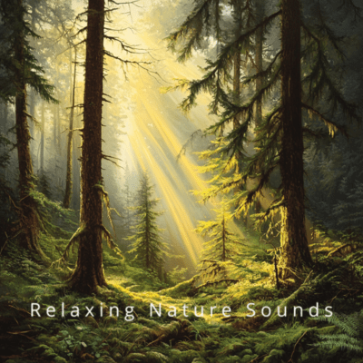 Deep Sleep Relaxing Nature Sounds Soundscapes Front Cover